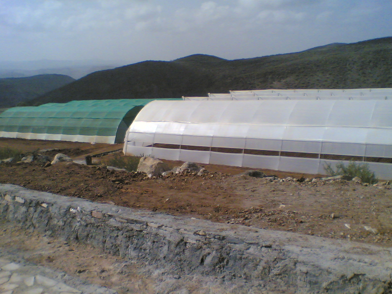 Greenhouse Project 16